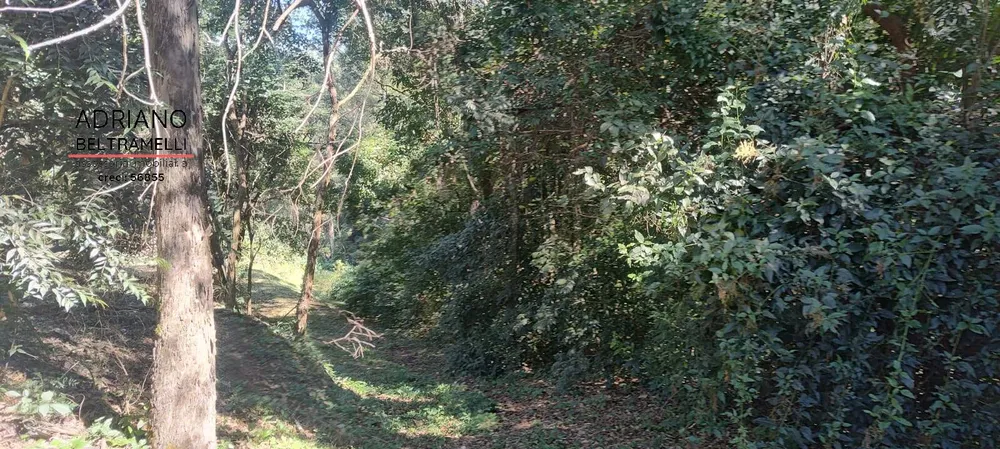 Terreno, 2 hectares - Foto 17