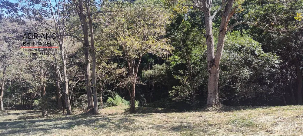 Terreno, 2 hectares - Foto 15