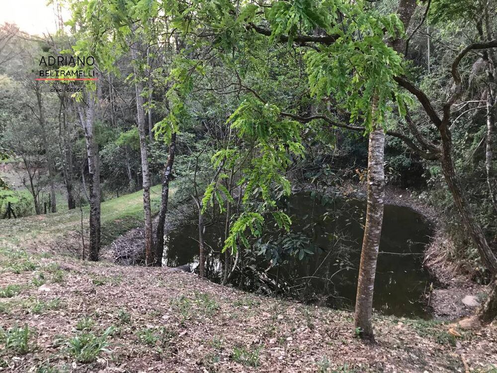 Terreno, 2 hectares - Foto 4