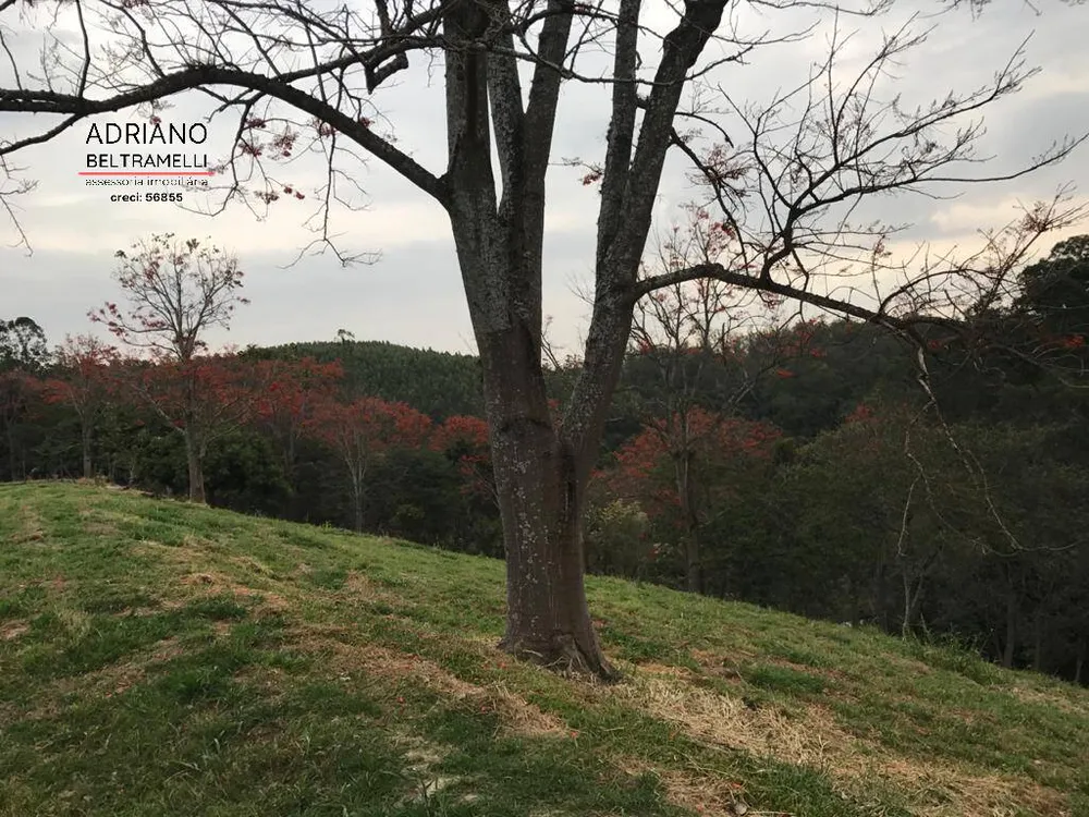 Terreno, 2 hectares - Foto 11
