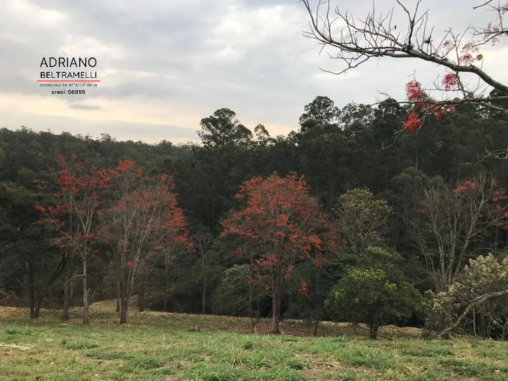 Terreno, 2 hectares - Foto 10