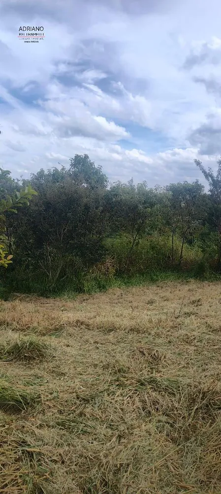 Terreno, 4 hectares - Foto 16