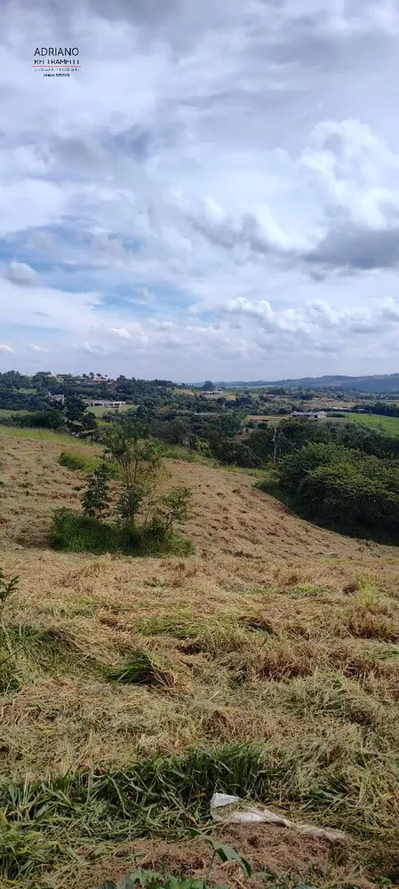 Terreno, 4 hectares - Foto 6