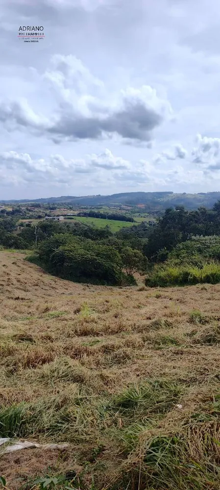 Terreno, 4 hectares - Foto 7