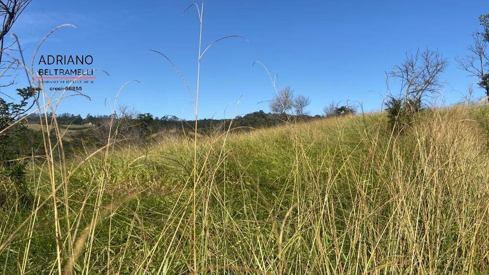 Terreno, 4 hectares - Foto 4