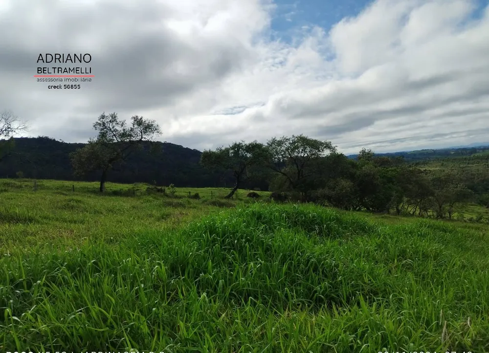 Terreno, 2 hectares - Foto 12