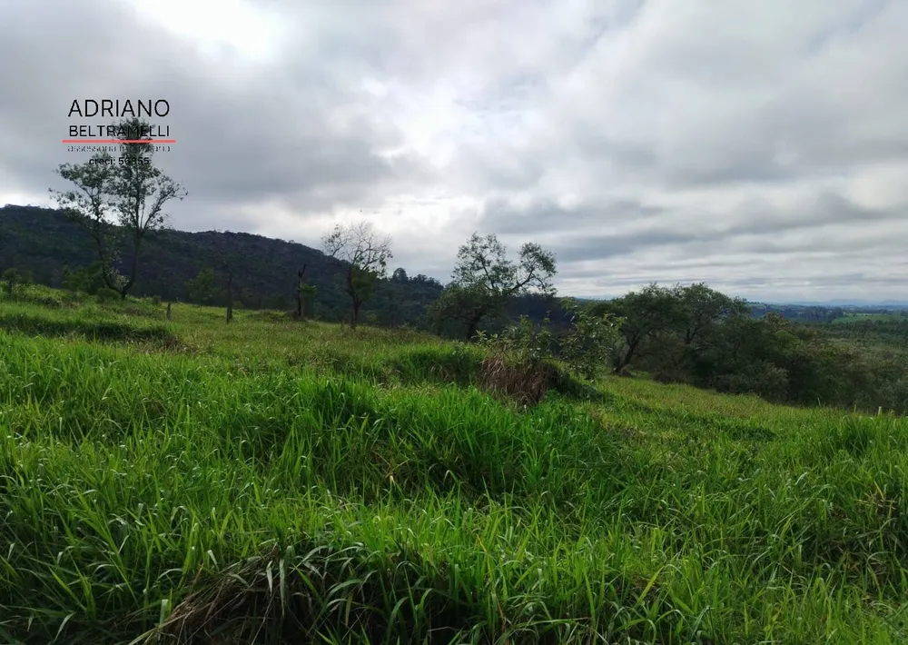 Terreno, 2 hectares - Foto 14