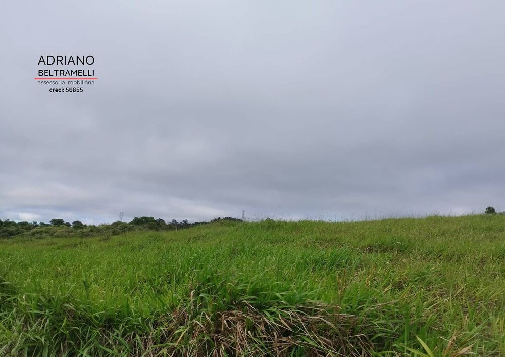 Terreno, 2 hectares - Foto 4