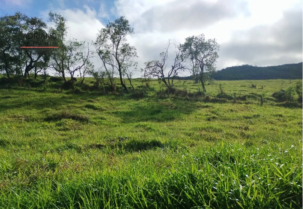 Terreno, 2 hectares - Foto 7