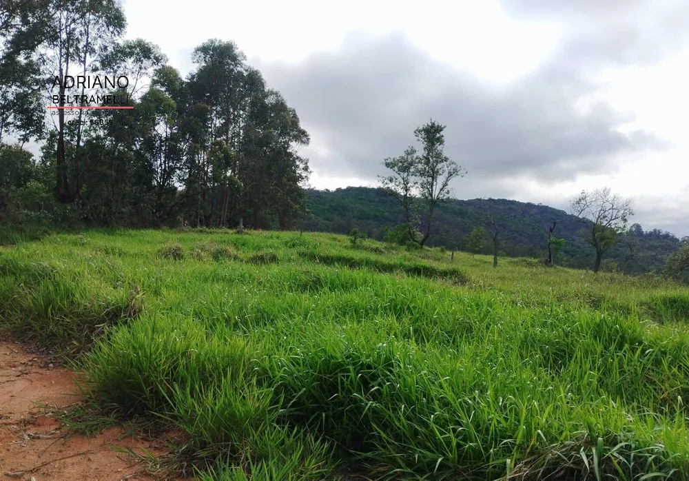 Terreno, 2 hectares - Foto 15