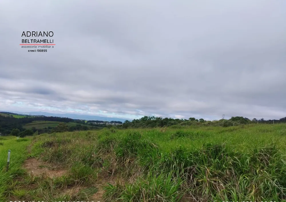 Terreno, 2 hectares - Foto 6