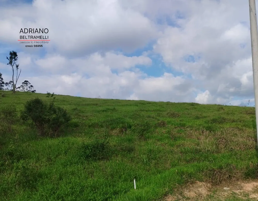 Terreno, 2 hectares - Foto 11