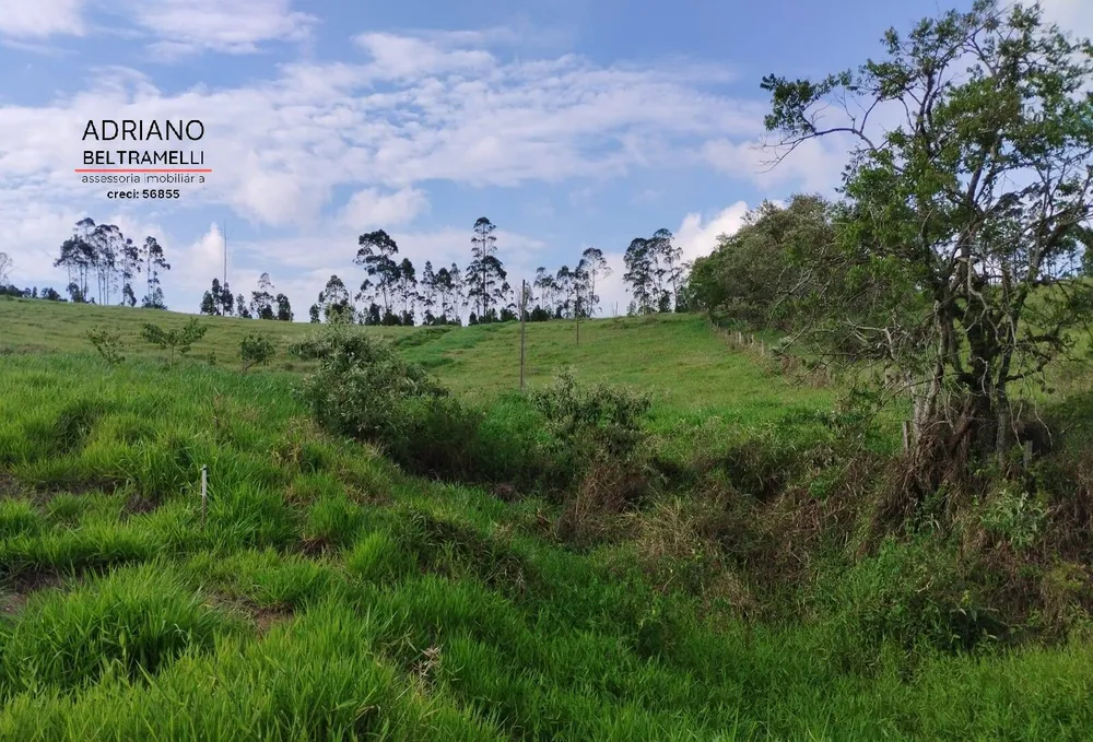 Terreno, 2 hectares - Foto 10