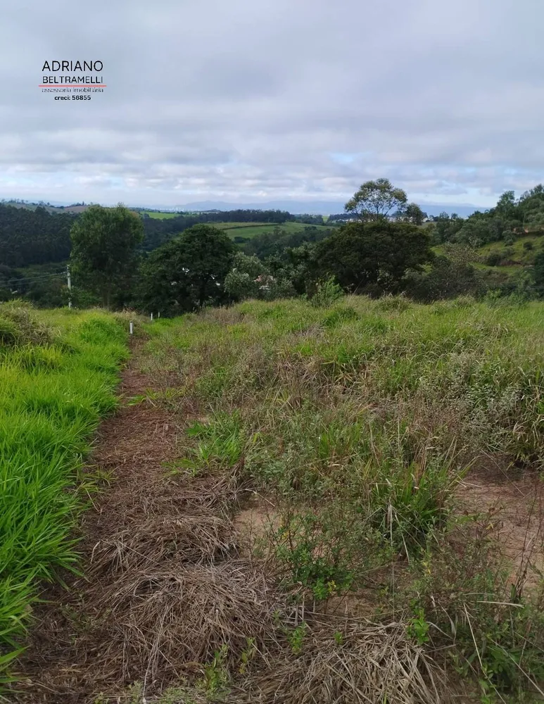 Terreno, 2 hectares - Foto 9