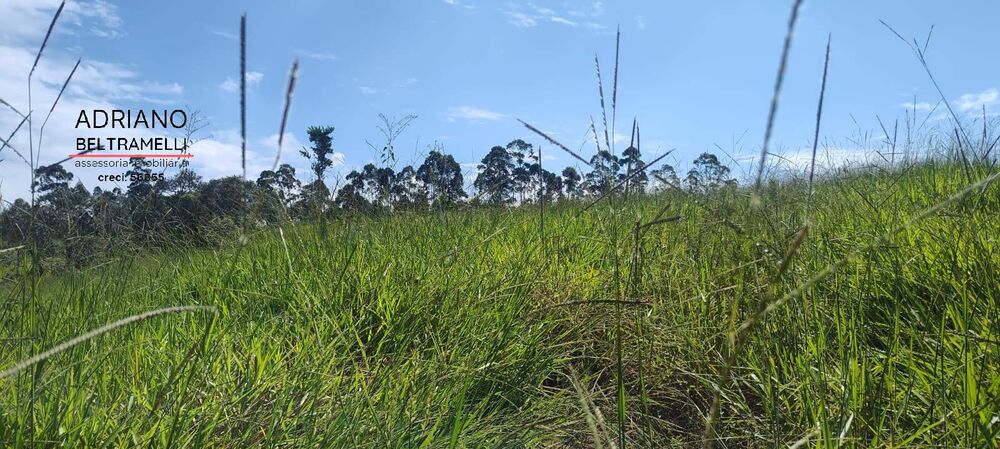 Terreno, 2 hectares - Foto 2