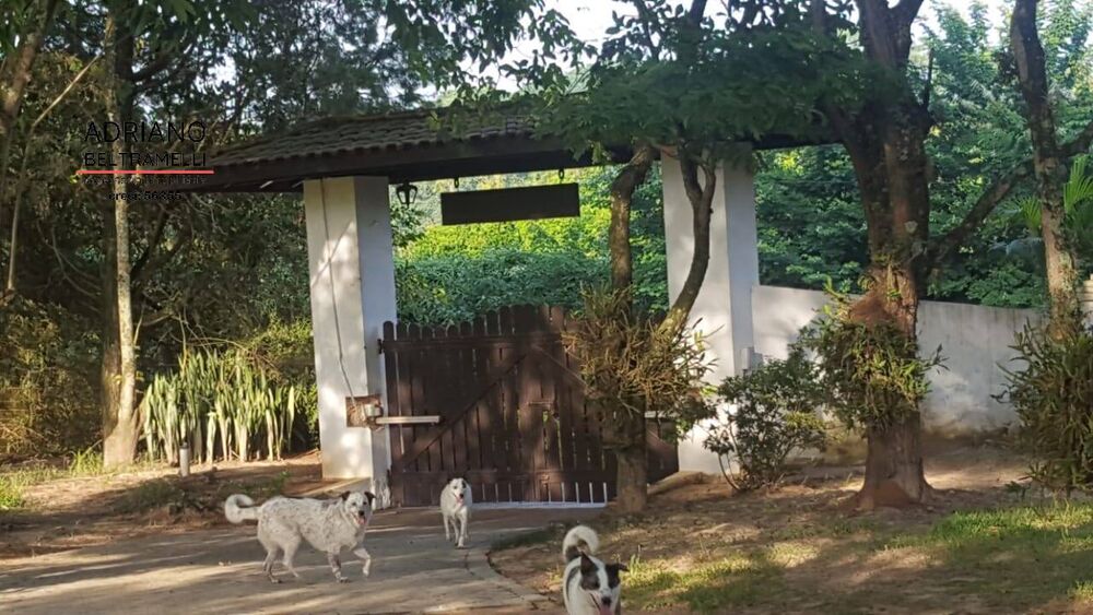 Sítio, 4 quartos, 18 m² - Foto 17