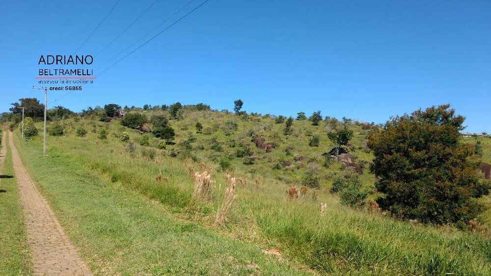 Terreno, 2 hectares - Foto 4