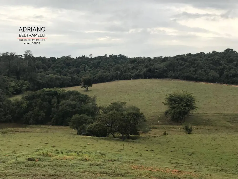 Terreno, 43 hectares - Foto 2