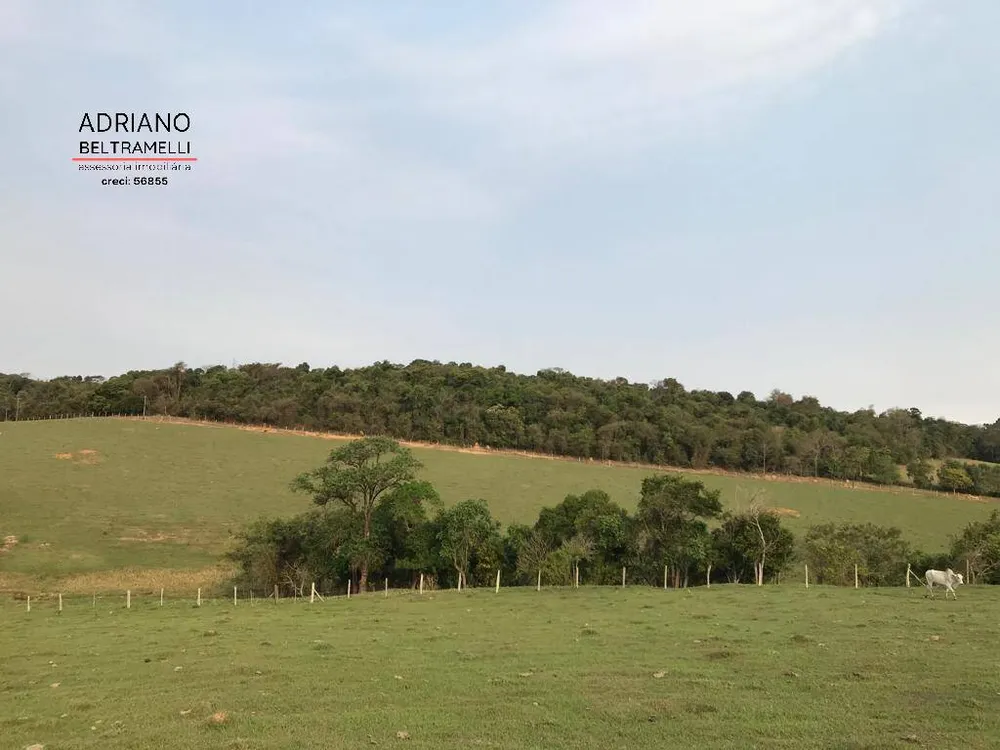Terreno, 43 hectares - Foto 1