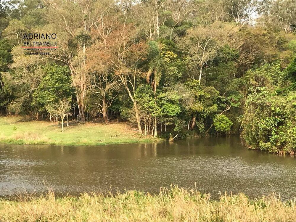 Terreno, 43 hectares - Foto 4