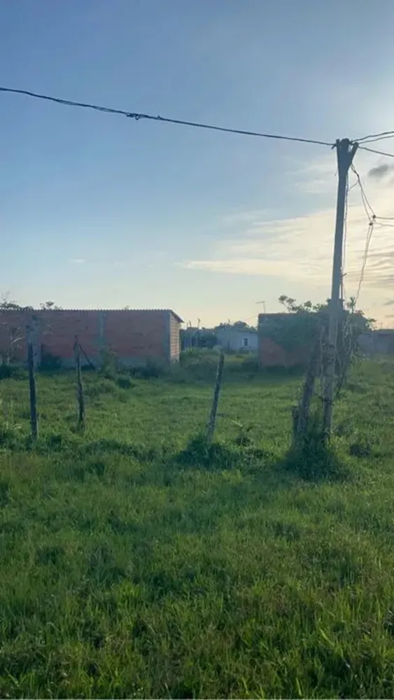 Casa, 55000 m² - Foto 3