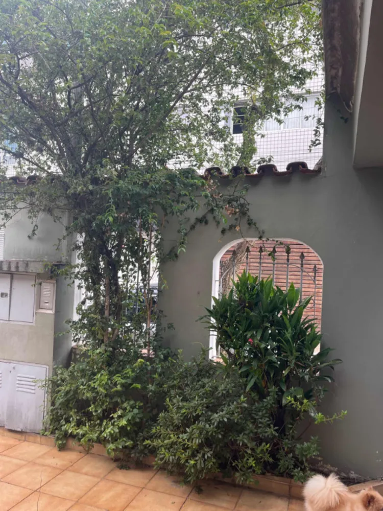 Casa, 3 quartos, 290 m² - Foto 1