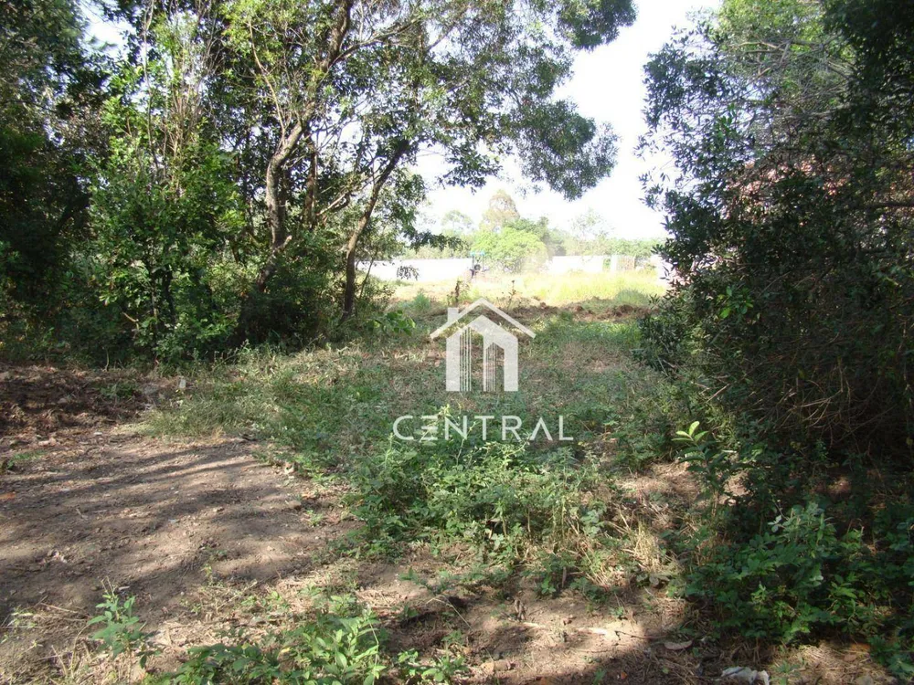 Chácara, 3 quartos, 5000 m² - Foto 10
