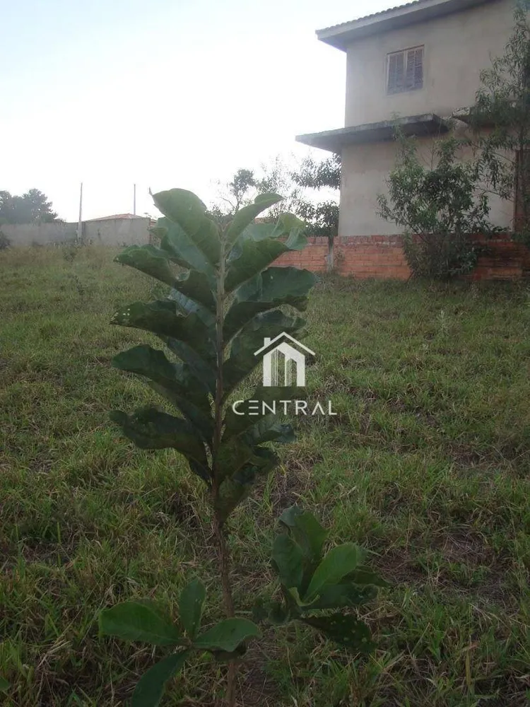 Chácara, 3 quartos, 5000 m² - Foto 11
