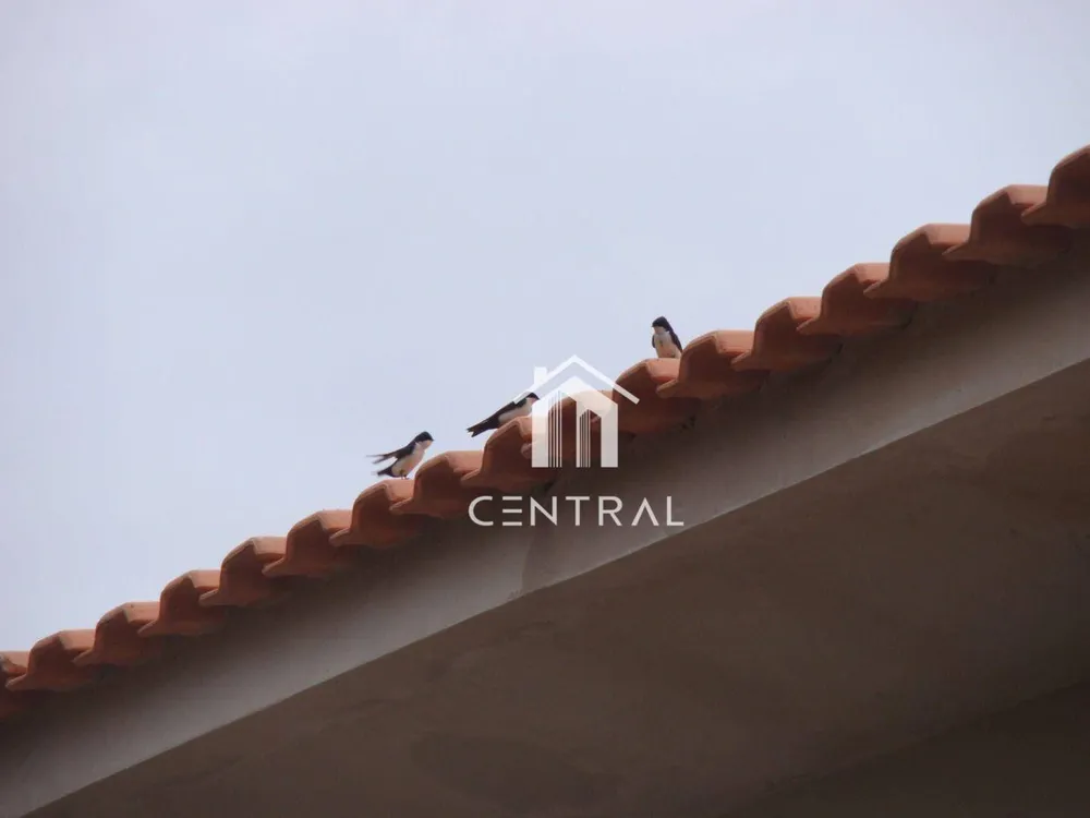 Chácara, 3 quartos, 5000 m² - Foto 3