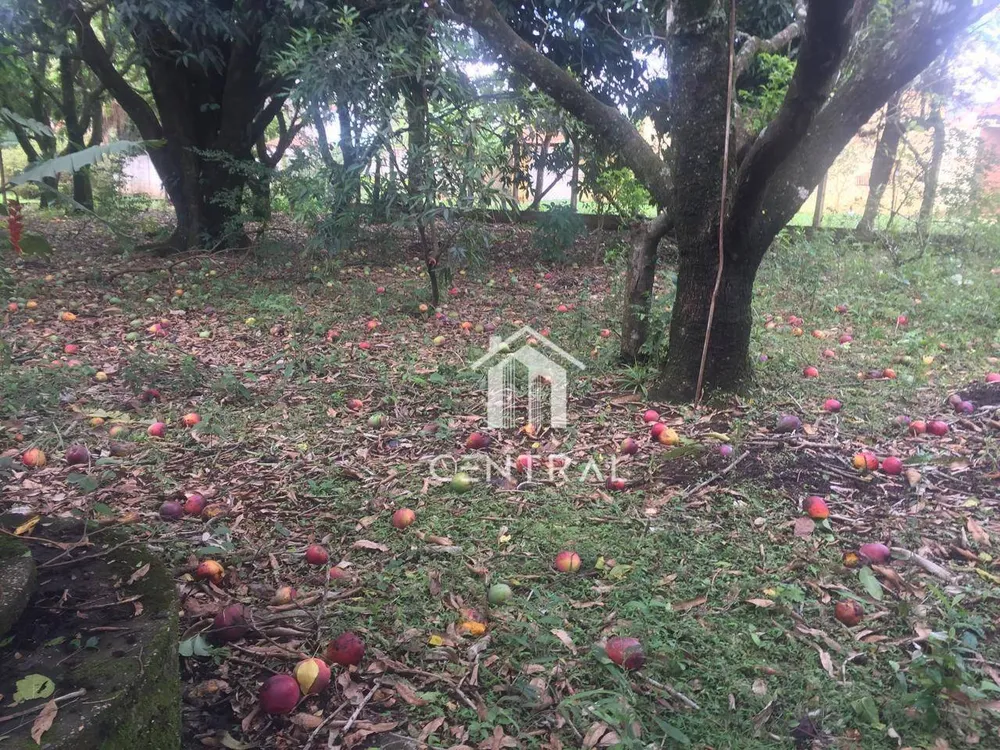 Chácara, 2 quartos, 2000 m² - Foto 3