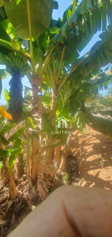 Casa, 3 quartos, 200 m² - Foto 1