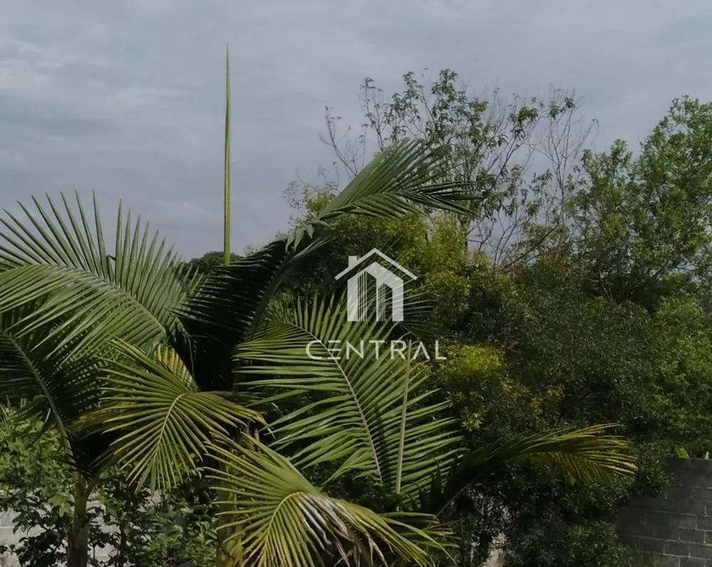 Chácara, 1000 m² - Foto 3