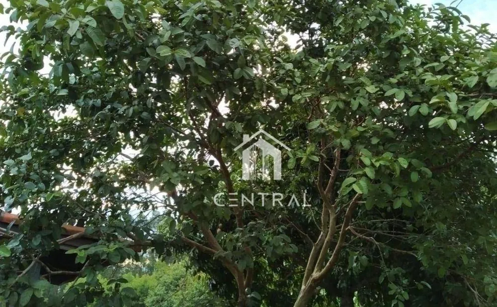 Chácara, 1000 m² - Foto 11