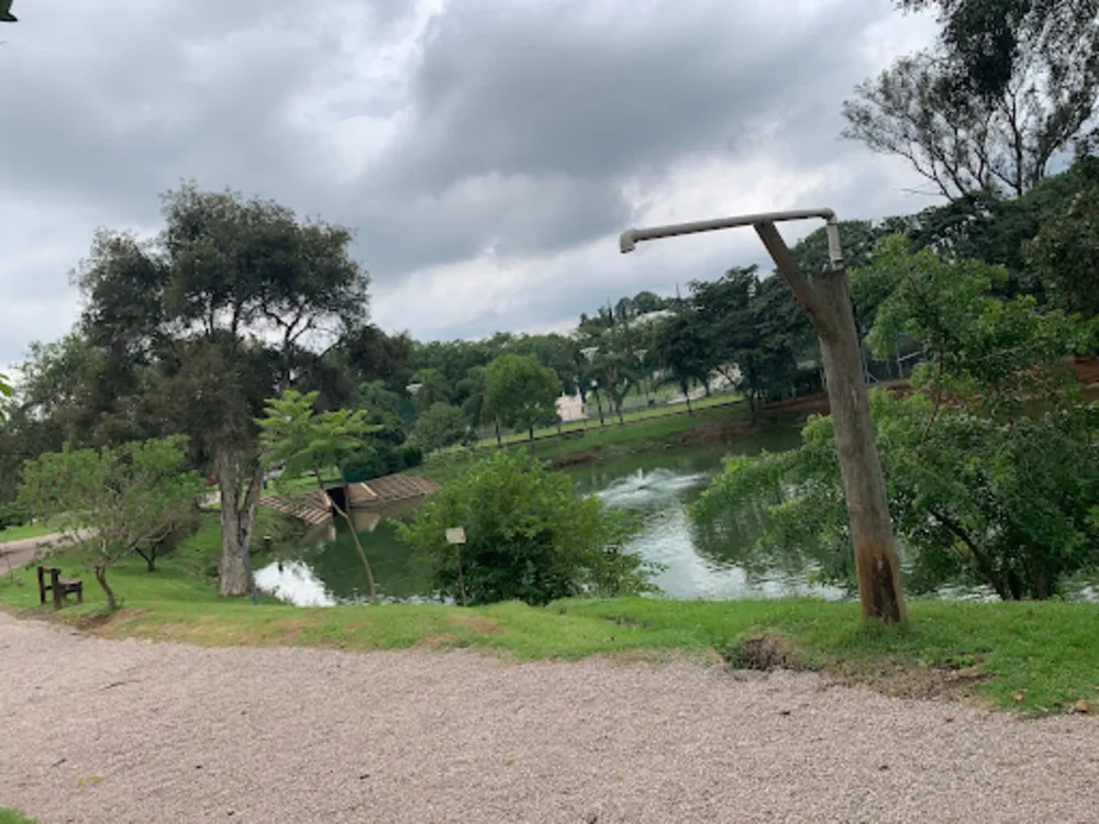 Terreno, 3000 m² - Foto 5
