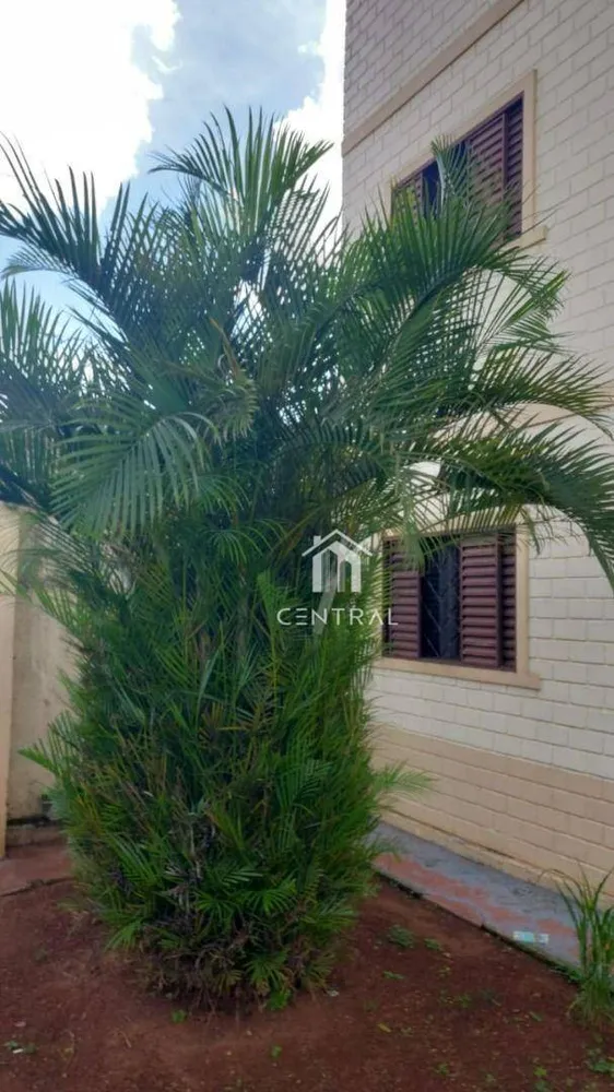 Apartamento, 3 quartos, 50 m² - Foto 3