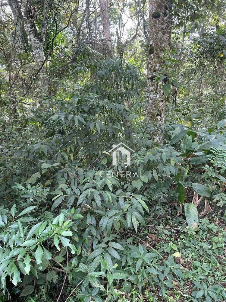 Chácara, 2 quartos, 1 hectares - Foto 11