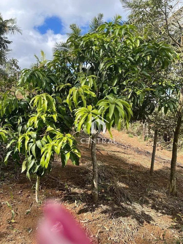 Chácara, 2 quartos, 1 hectares - Foto 13