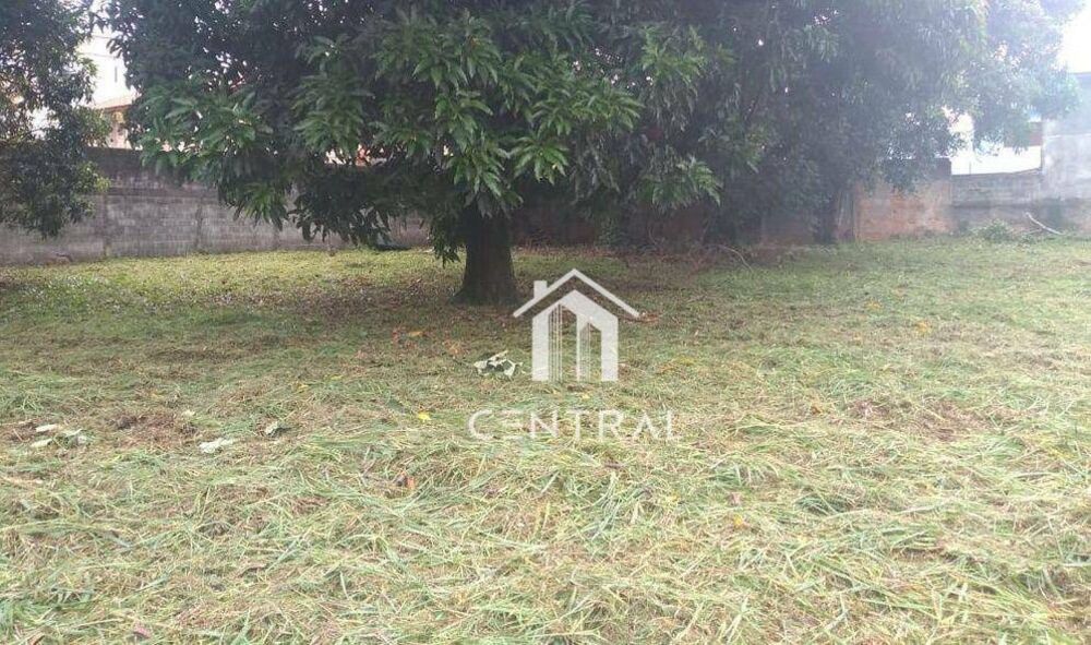 Terreno, 1548 m² - Foto 4