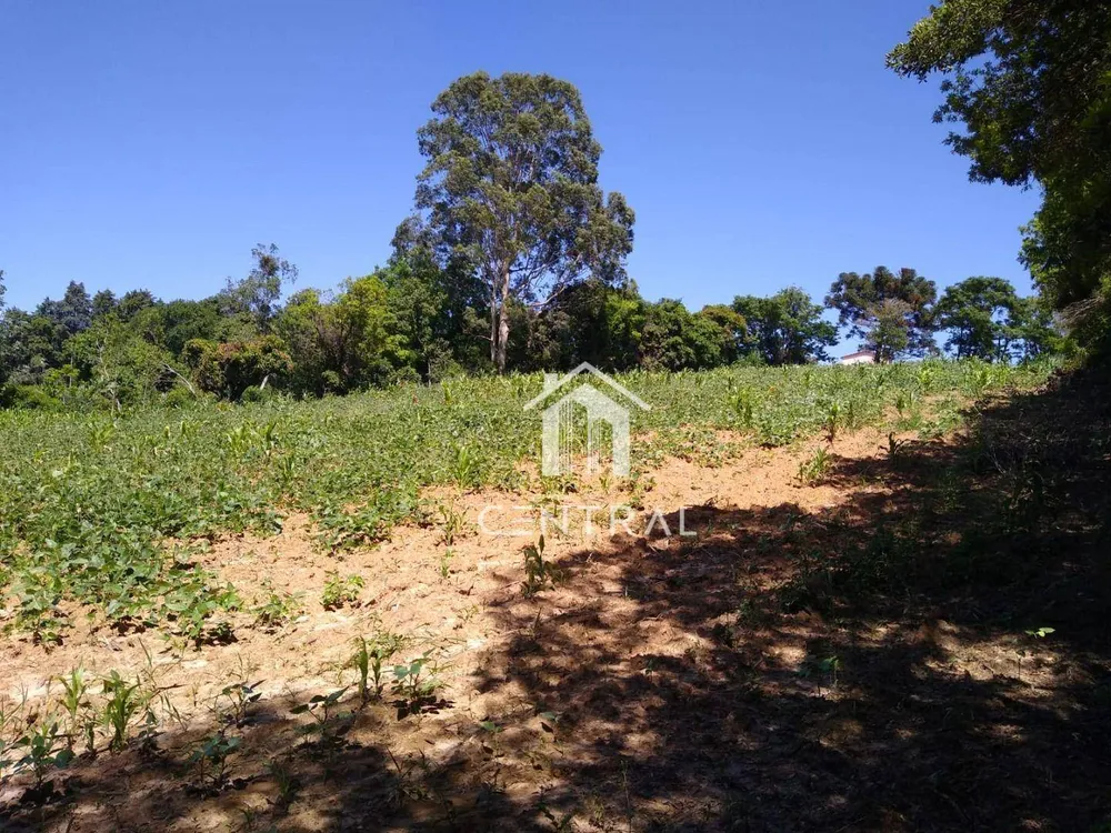 Terreno, 9272 m² - Foto 2