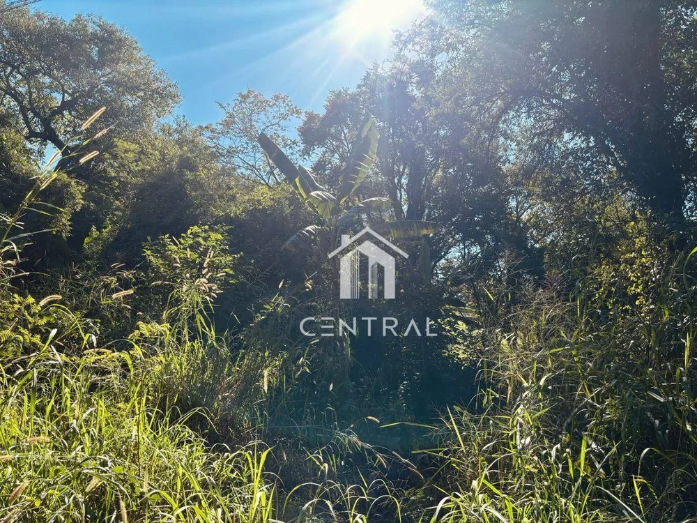 Terreno, 16 m² - Foto 3