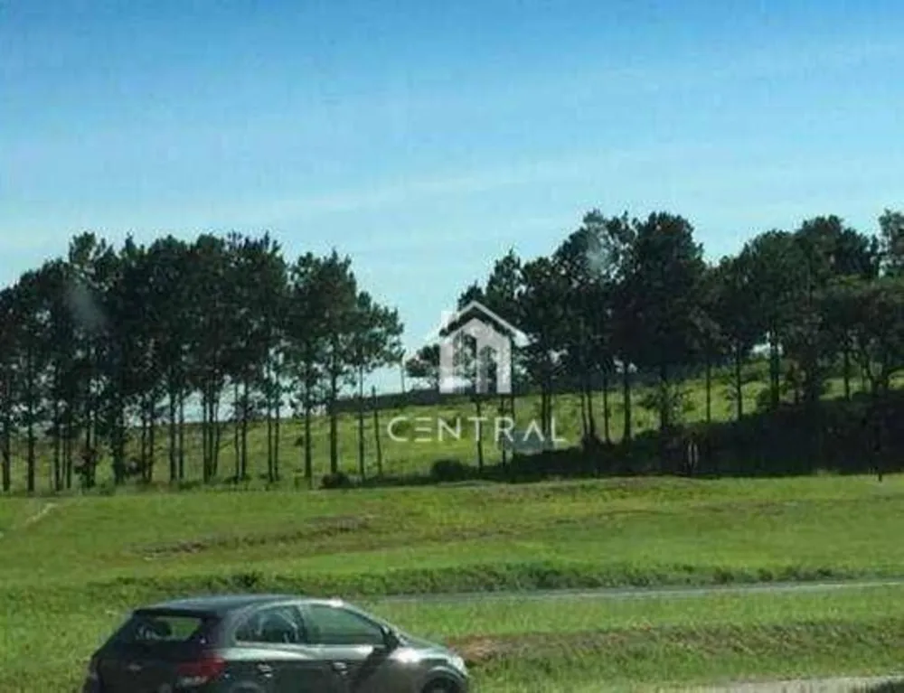 Terreno, 1 hectares - Foto 3