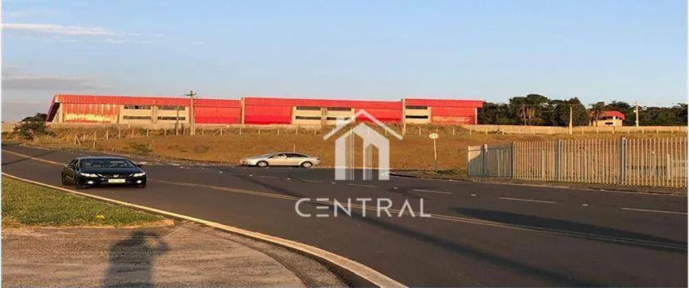 Depósito-Galpão, 5000 m² - Foto 6