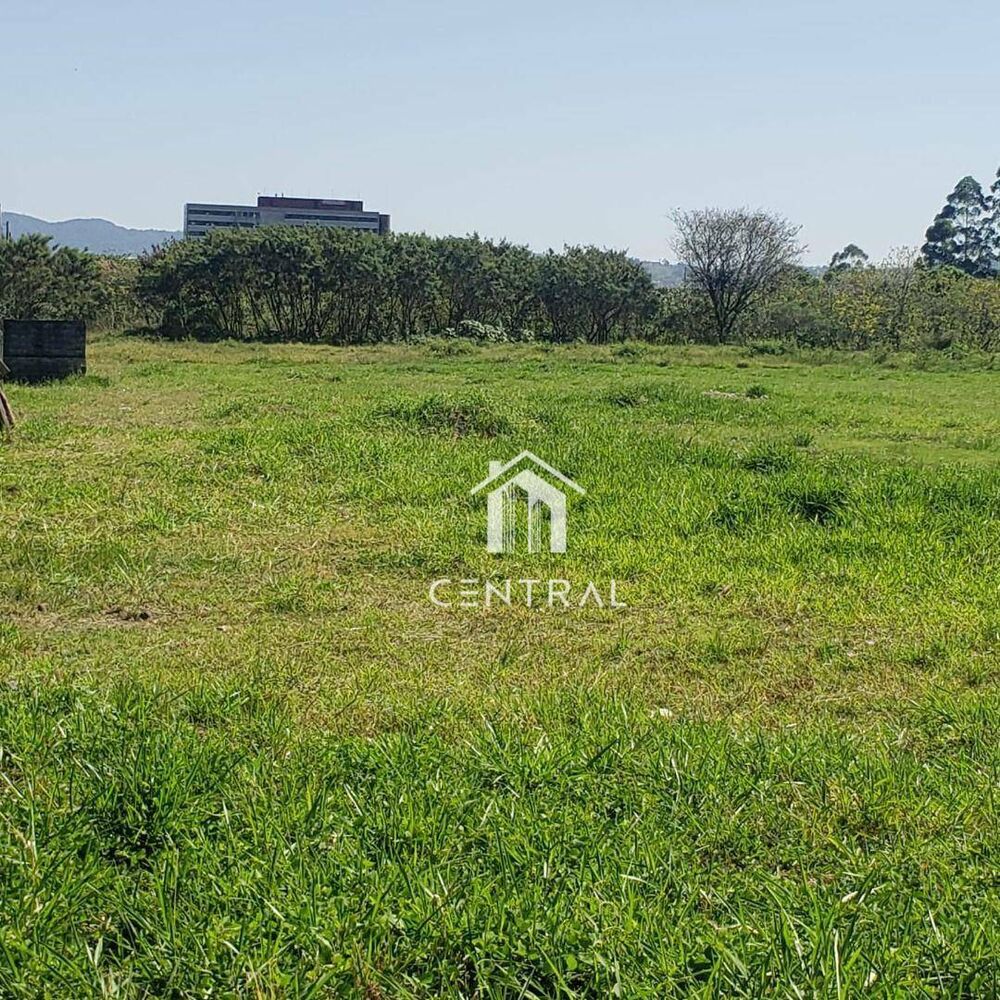 Terreno, 7250 m² - Foto 3