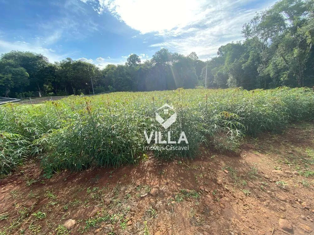 Chácara, 2780 m² - Foto 2