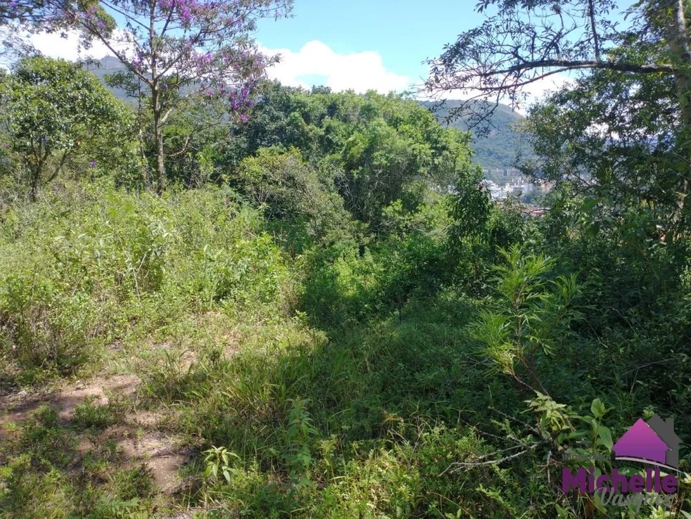 Terreno, 2667 m² - Foto 13