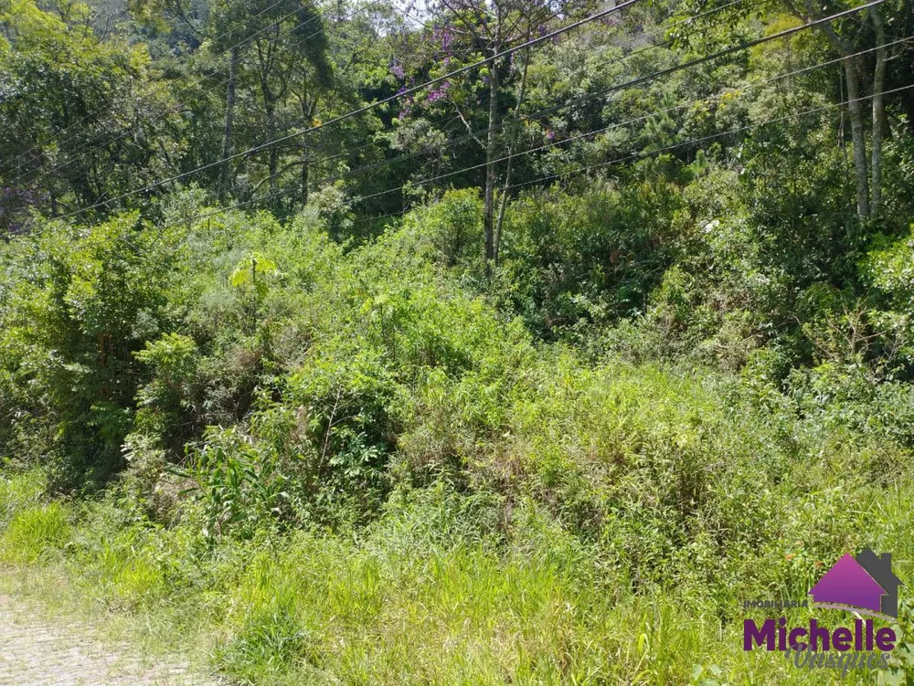 Terreno, 2667 m² - Foto 11
