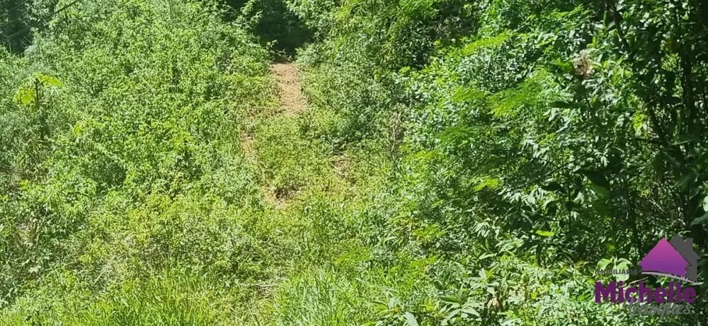 Terreno, 2667 m² - Foto 4