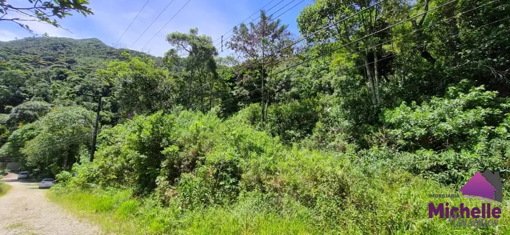 Terreno, 2667 m² - Foto 5