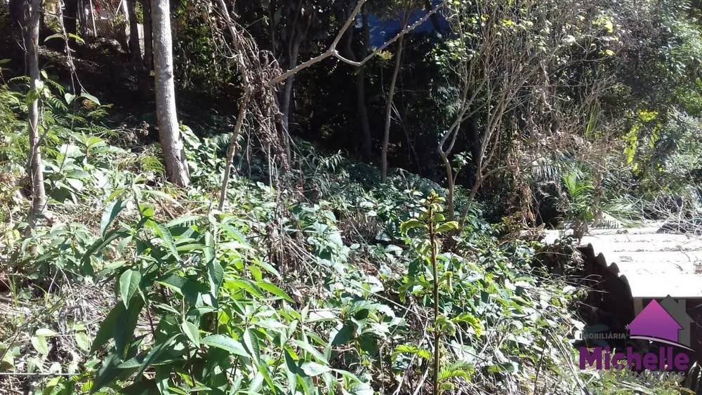 Terreno, 600 m² - Foto 4