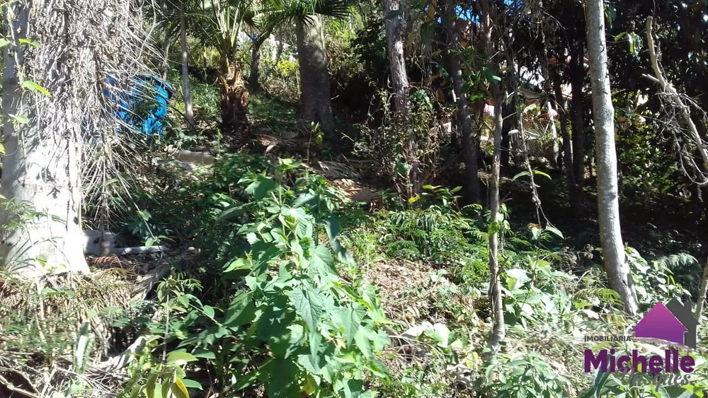 Terreno, 600 m² - Foto 6